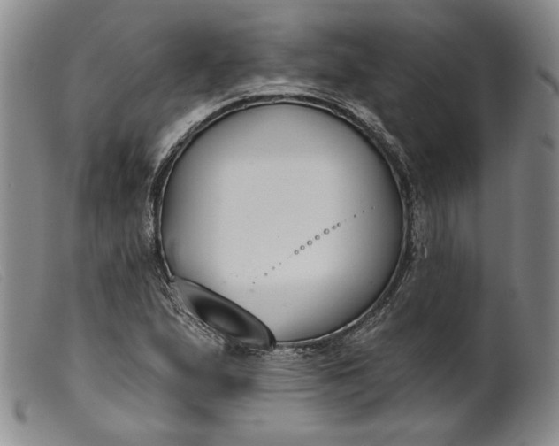 X0000099441167200805231710