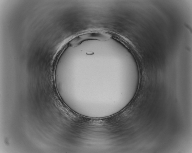 X0000099441168200805231710