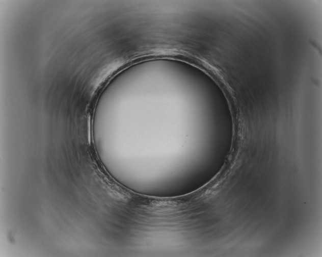 X0000099441171200805231710