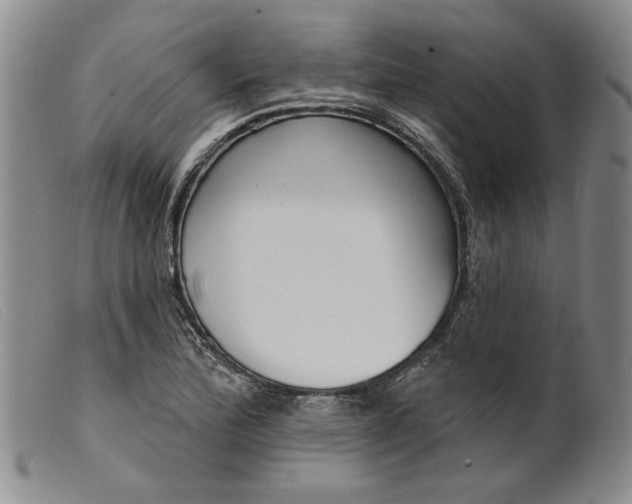 X0000099441172200805231710