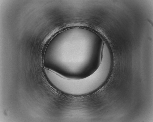 X0000099441173200805231710