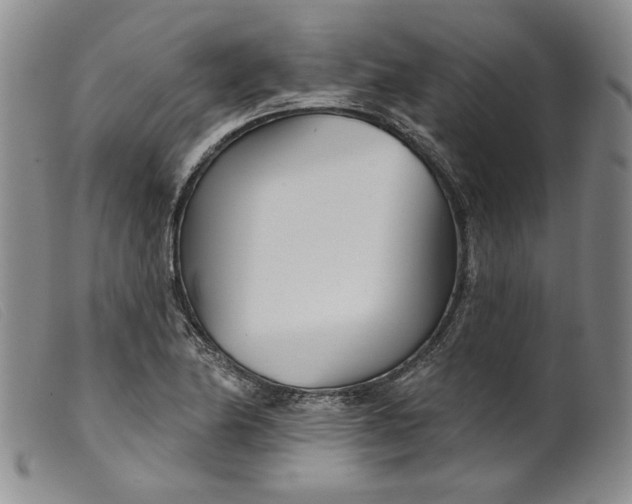 X0000099441174200805231710