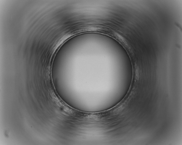 X0000099441178200805231710