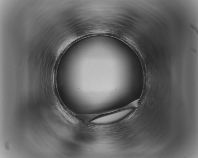 X0000099441179200805231710
