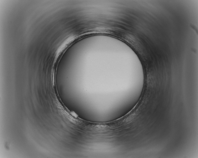 X0000099441180200805231710