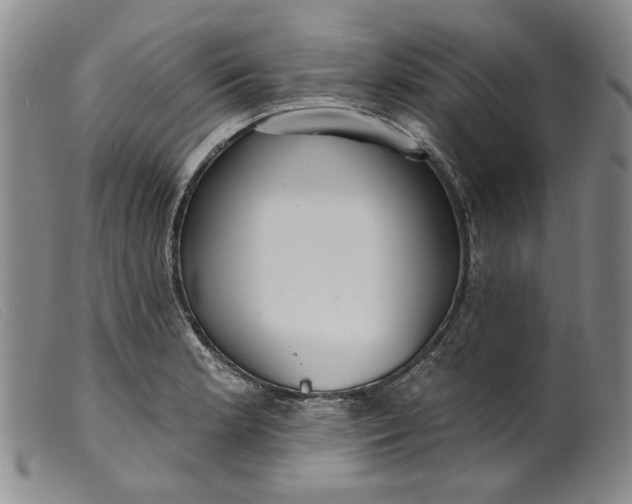 X0000099441181200805231710