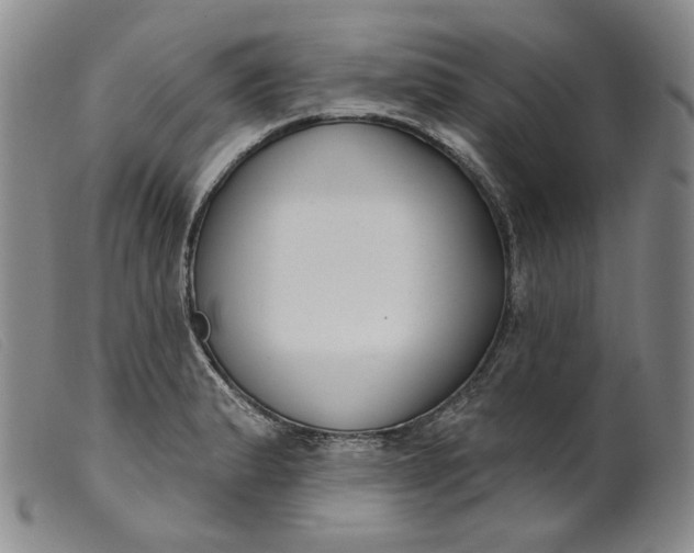X0000099441183200805231710