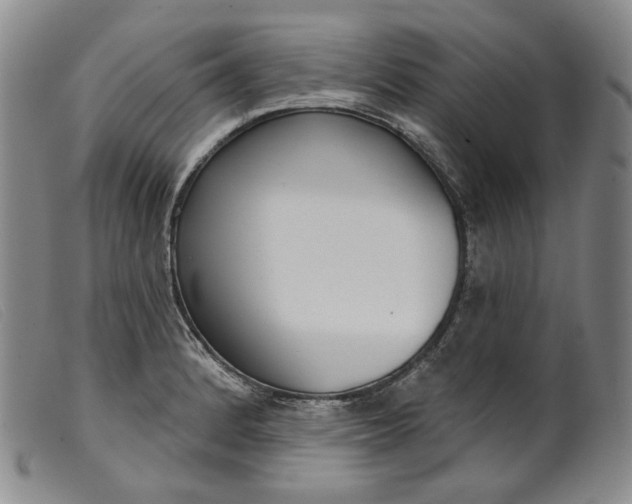 X0000099441184200805231710