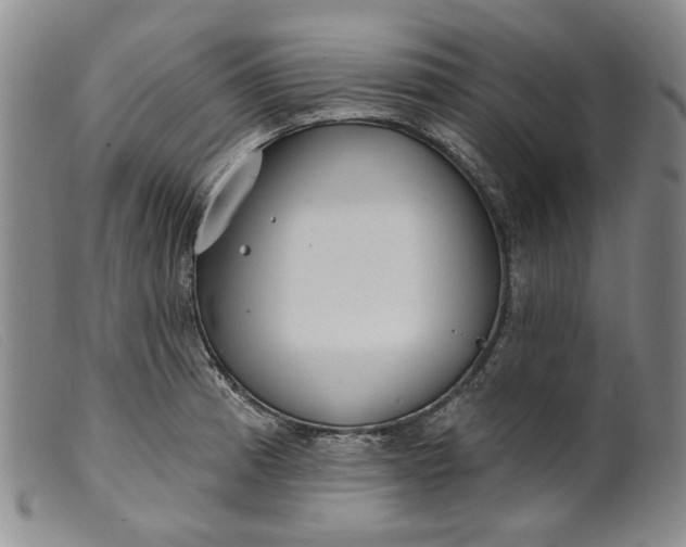 X0000099441185200805231710