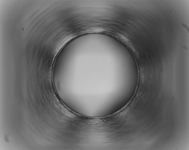 X0000099441186200805231710