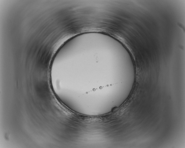 X0000099441187200805231710