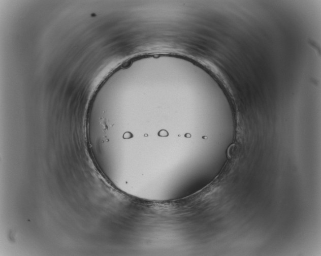X0000099441191200805231710