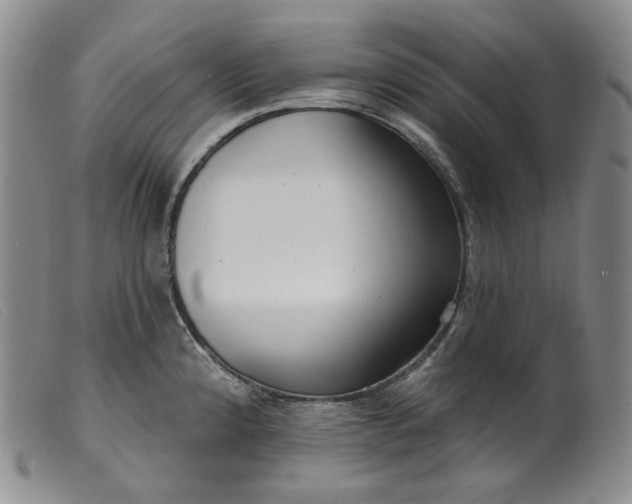 X0000099441192200805231710