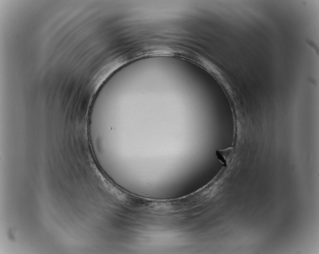 X0000099441194200805231710