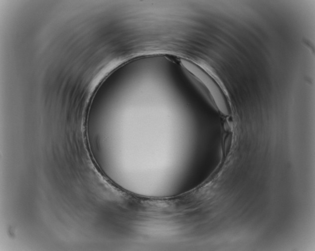 X0000099441197200805231710