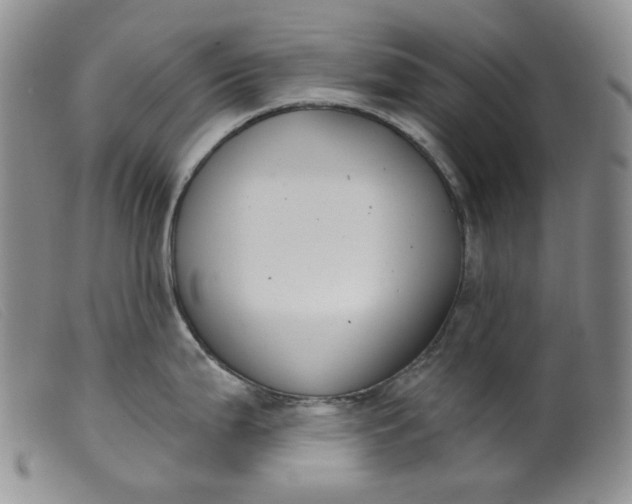 X0000099441199200805231710