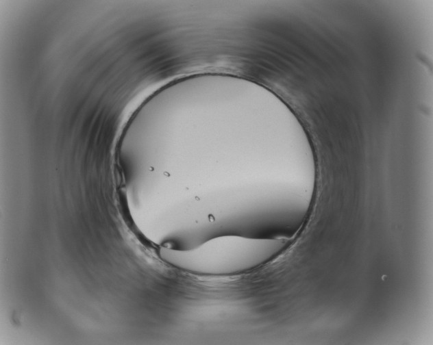 X0000099441200200805231710