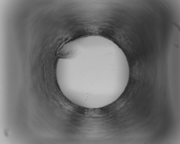 X0000099441201200805231709