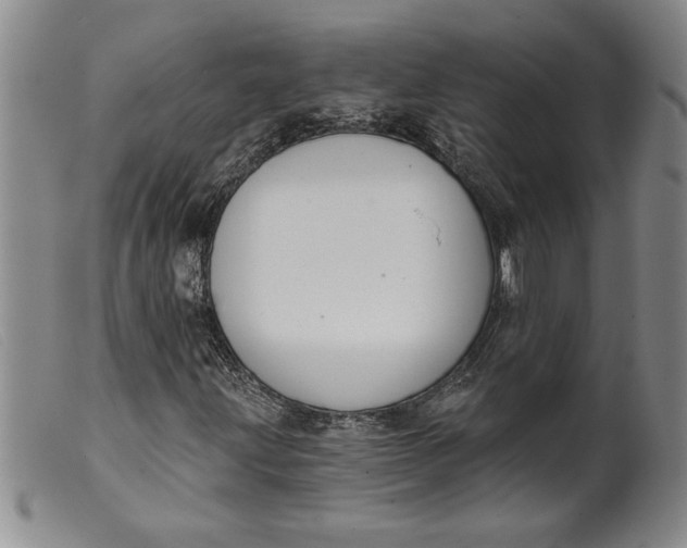 X0000099441203200805231709