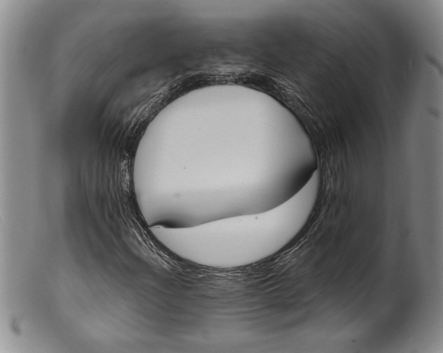X0000099441204200805231709