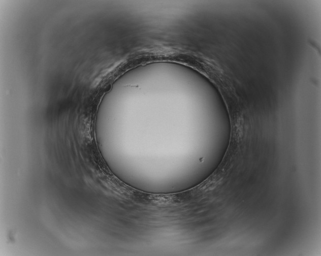 X0000099441205200805231709