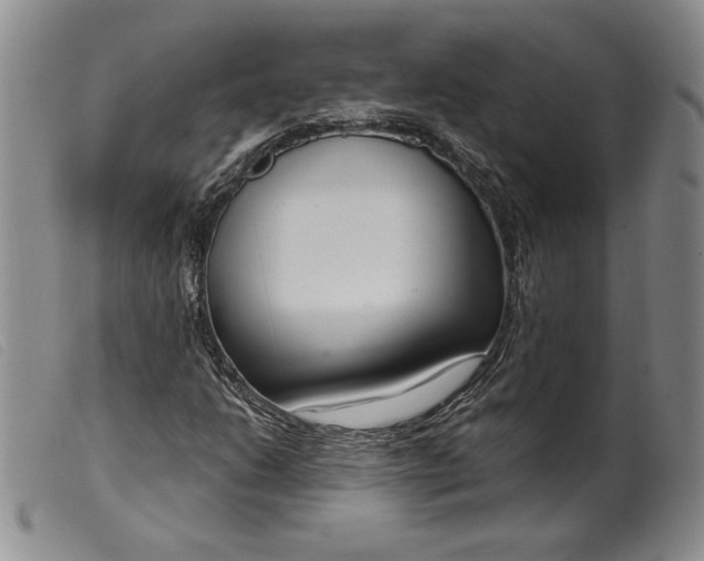 X0000099441206200805231709