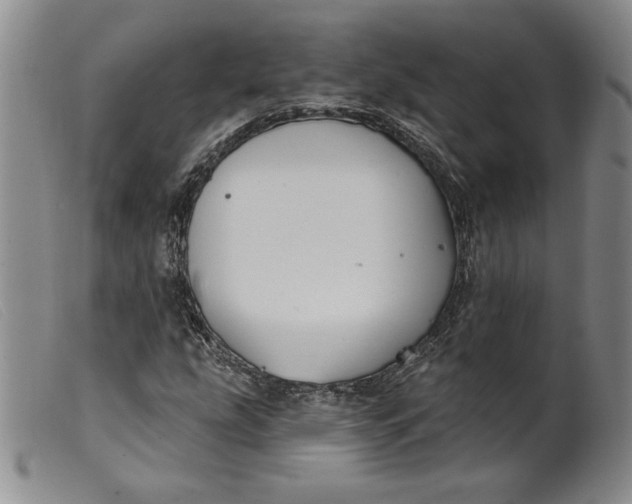 X0000099441207200805231709