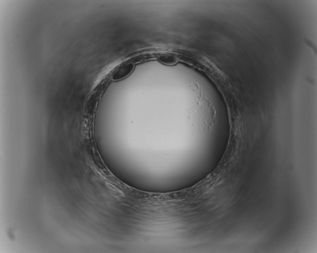 X0000099441208200805231709