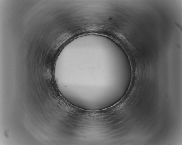 X0000099441209200805231709
