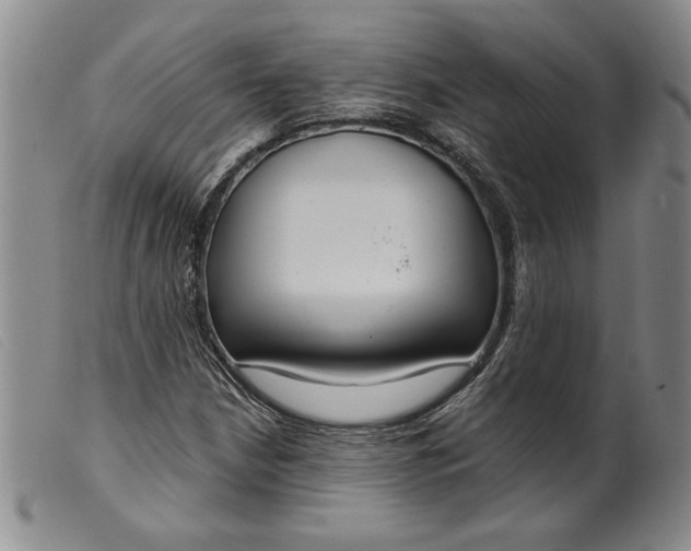 X0000099441210200805231709