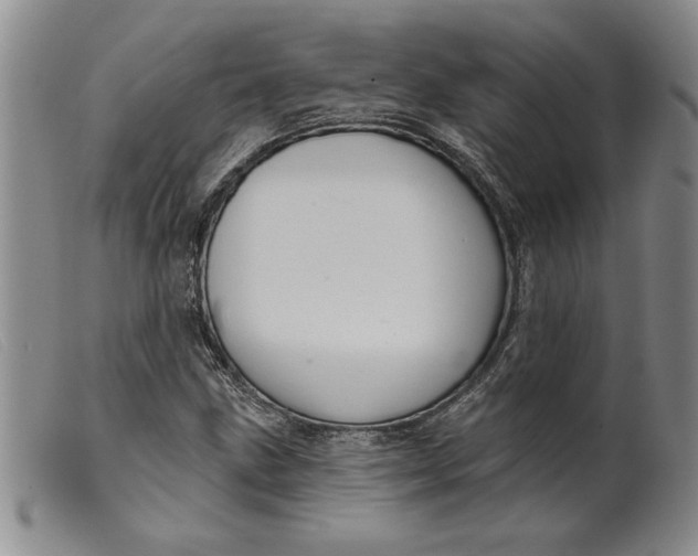 X0000099441211200805231709