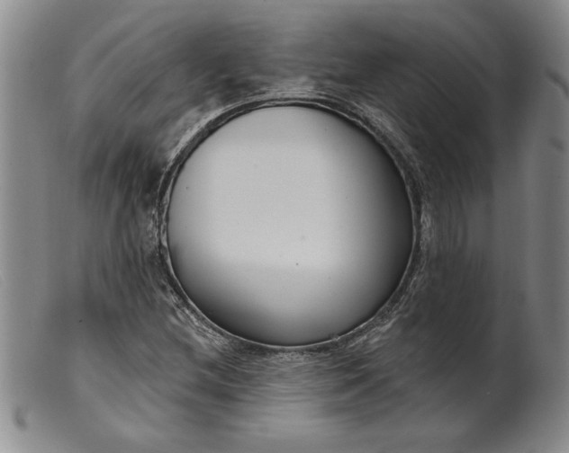 X0000099441212200805231709