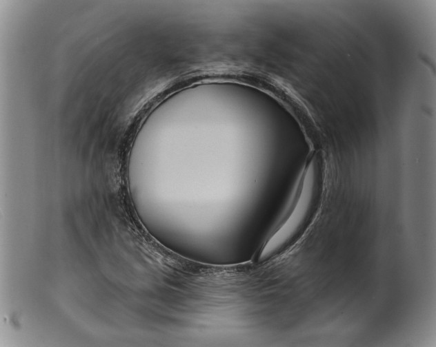 X0000099441213200805231709