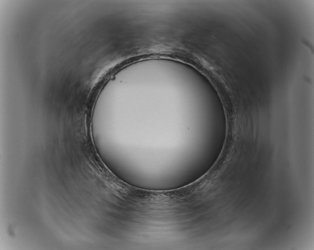 X0000099441214200805231709