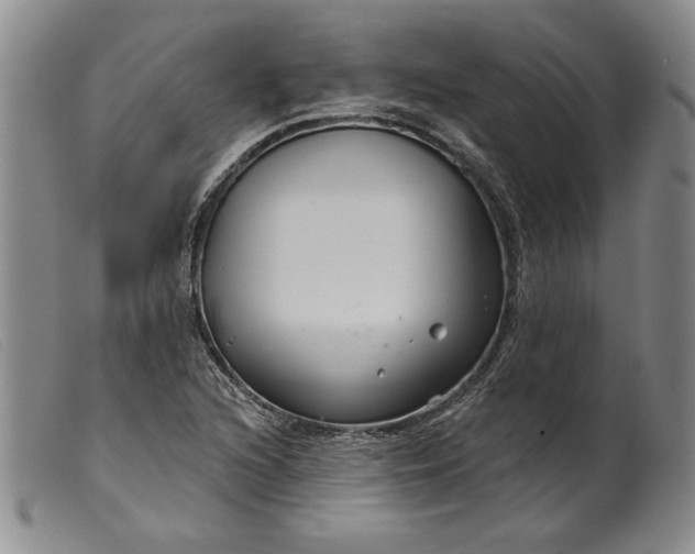 X0000099441216200805231709