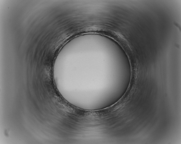 X0000099441217200805231709