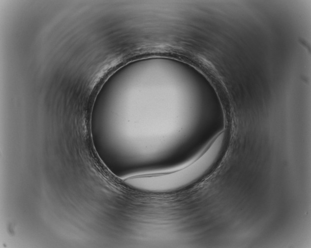 X0000099441218200805231709