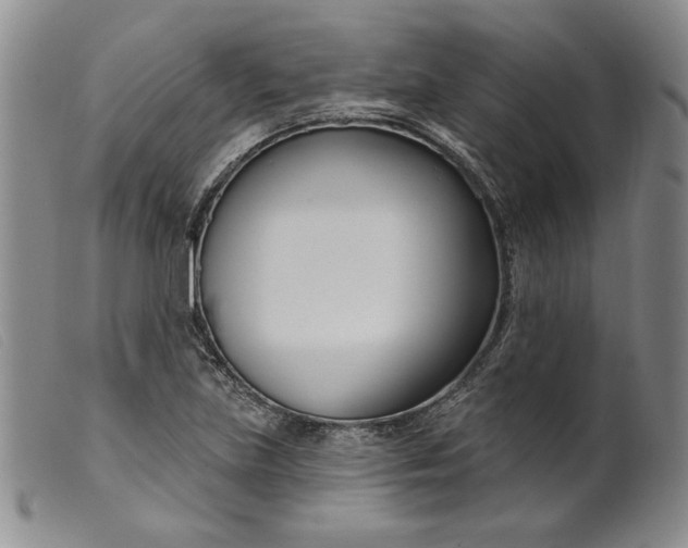 X0000099441219200805231709