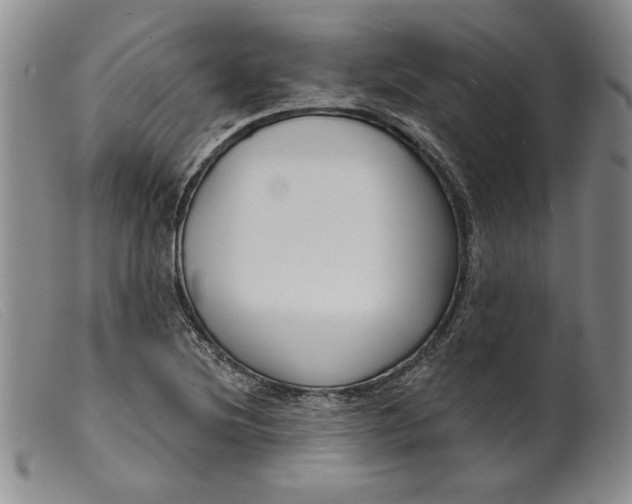 X0000099441220200805231709