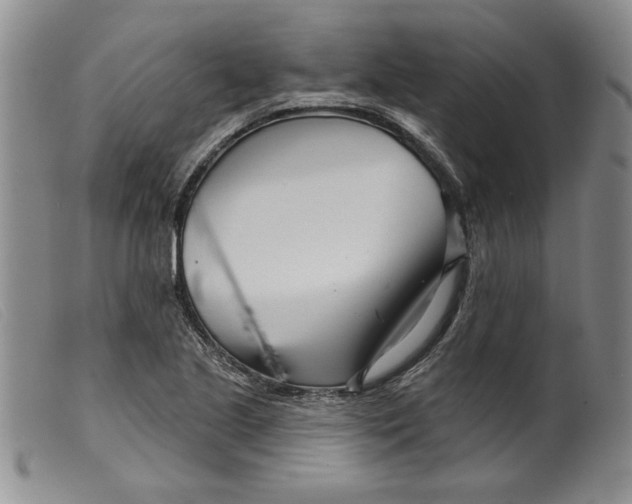 X0000099441221200805231709