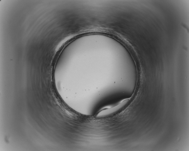X0000099441222200805231709