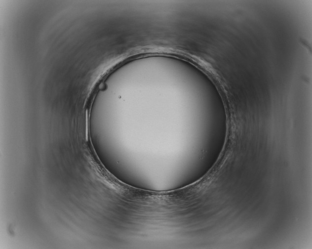 X0000099441223200805231709