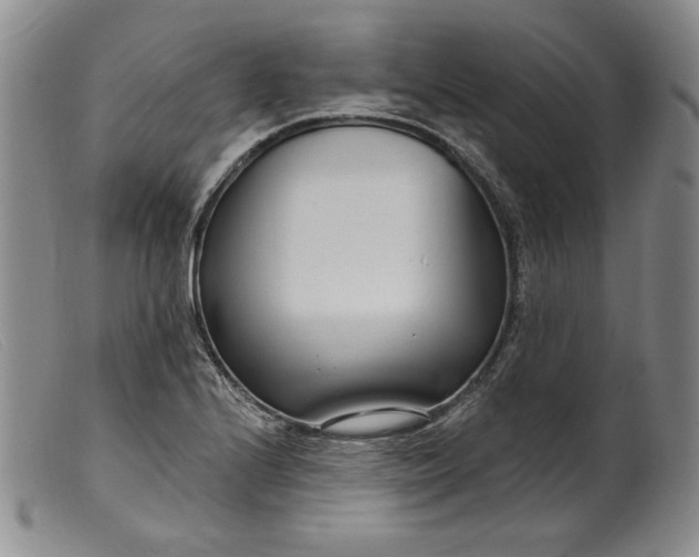 X0000099441224200805231709