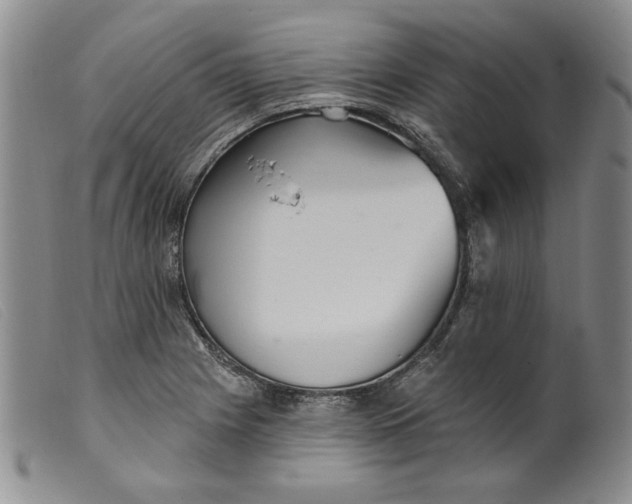 X0000099441225200805231709