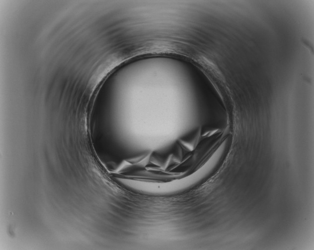X0000099441226200805231709