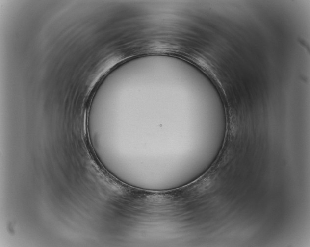 X0000099441227200805231709