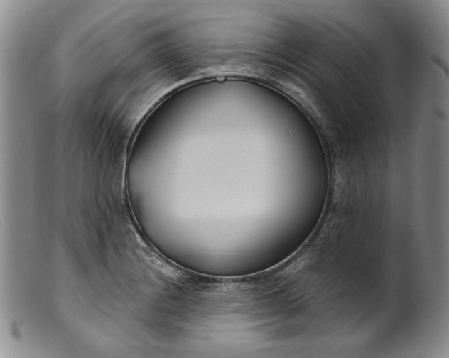 X0000099441228200805231709