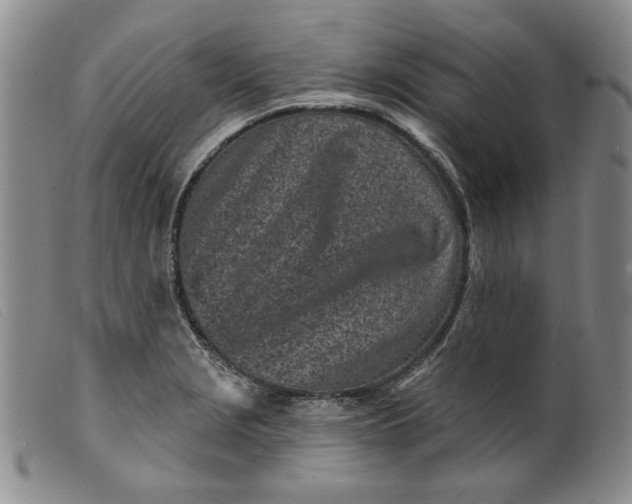 X0000099441229200805231709