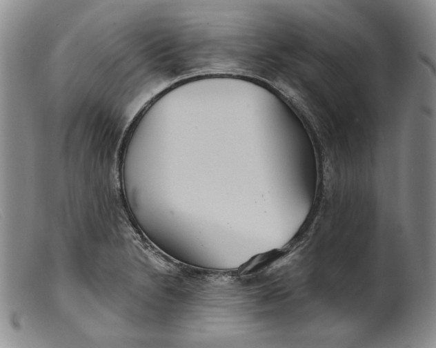 X0000099441230200805231709
