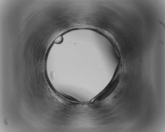 X0000099441231200805231709